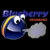 Blueberry Headband